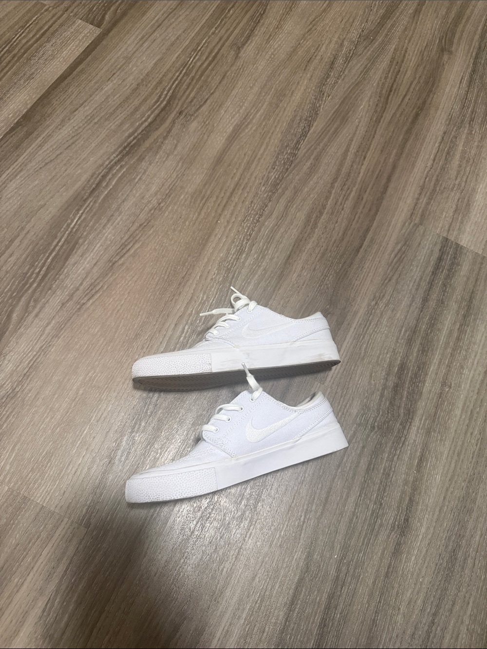 Nike White Canvas Skate Shoes